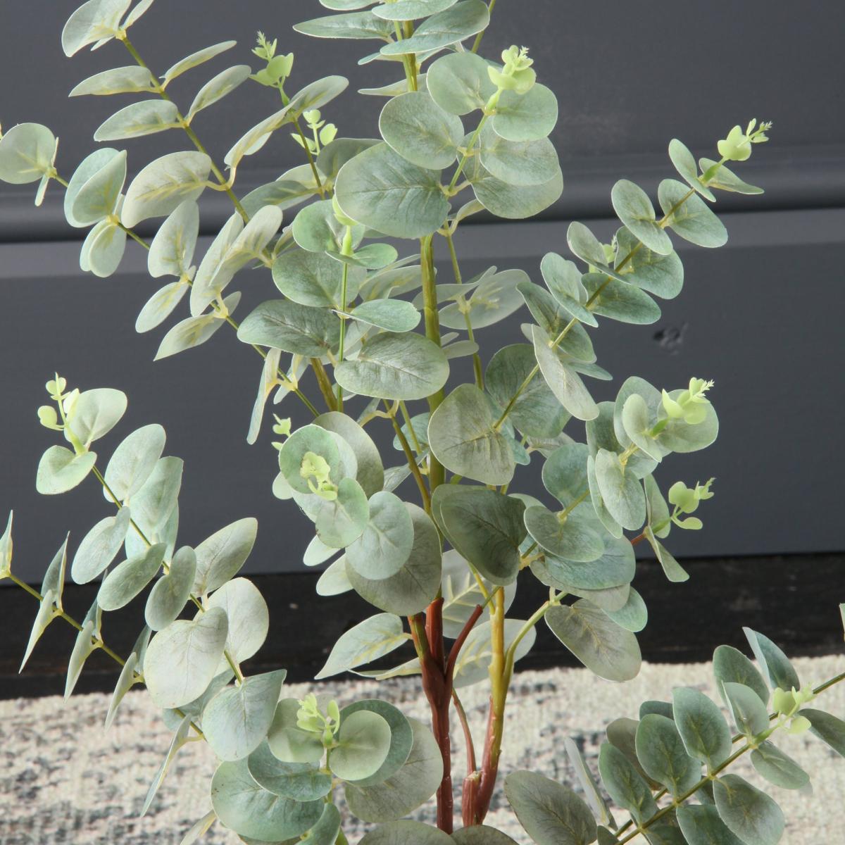 Eucalyptus Tree 70cm Green – image 2