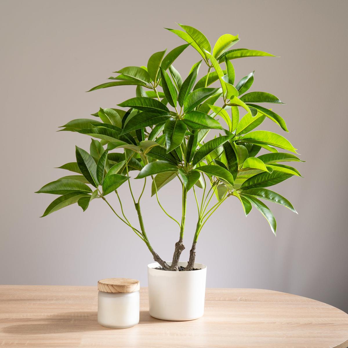 Artificial Umbrella Plant in White Pot Green – image 2