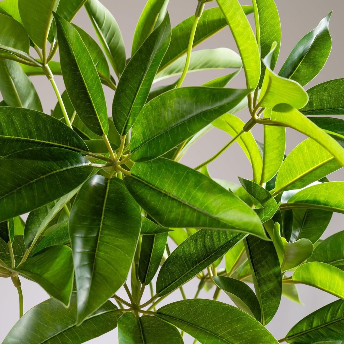 Artificial Umbrella Plant in White Pot Green – image 3