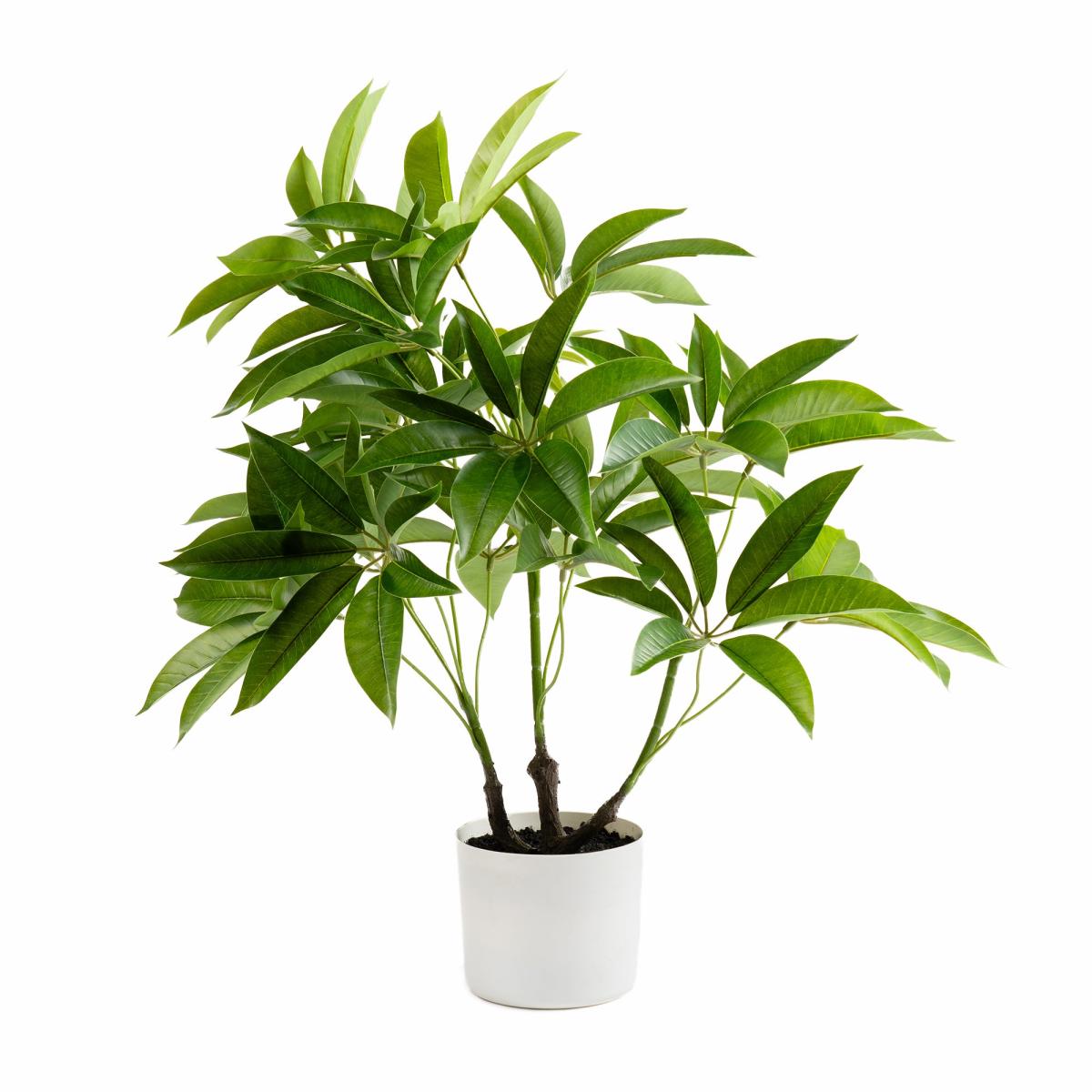 Artificial Umbrella Plant in White Pot Green – image 4