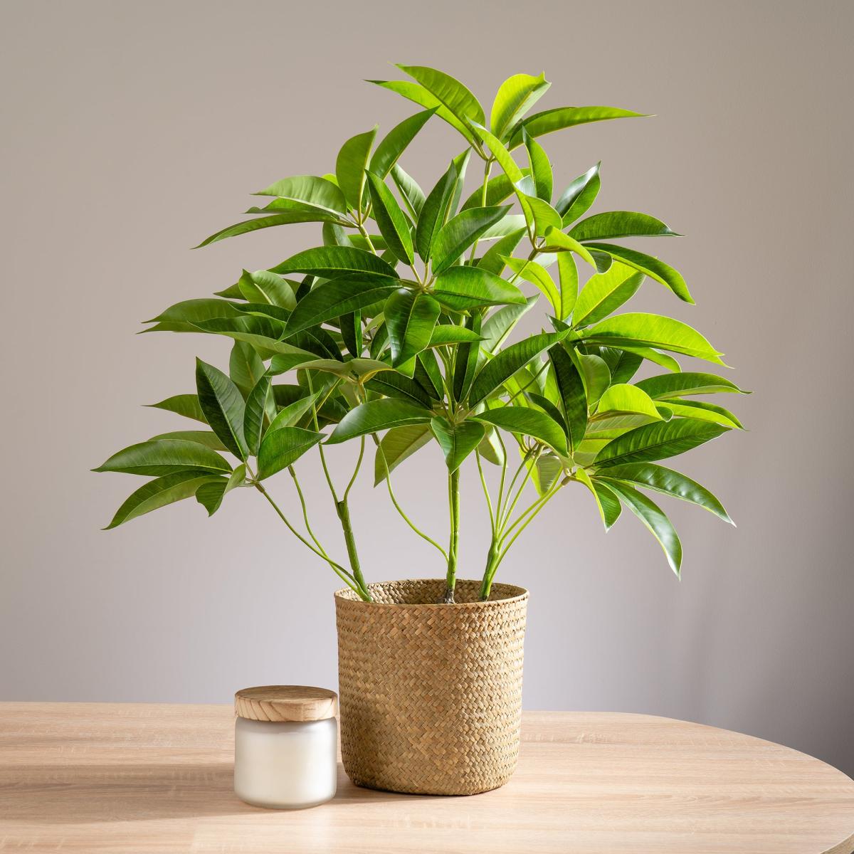 Artificial Umbrella Plant in White Pot Green – image 1