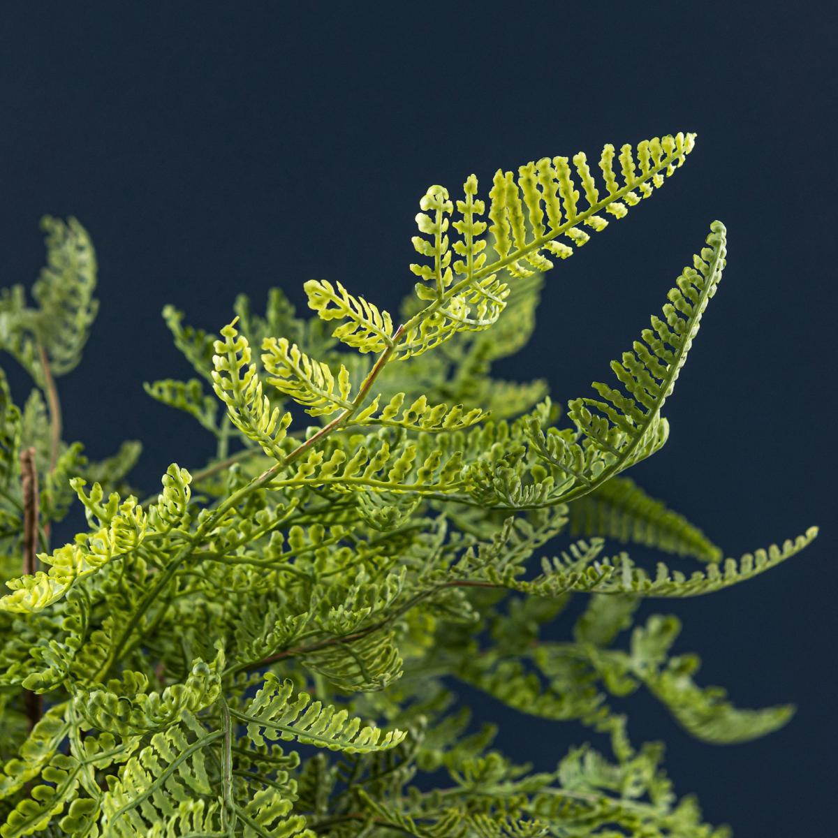 Fern in Ceramic Pot 45cm Green – image 2