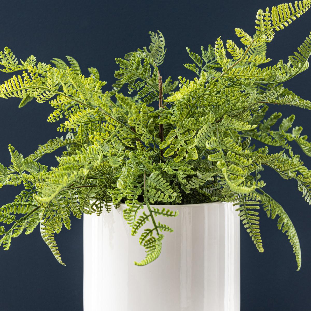 Fern in Ceramic Pot 45cm Green – image 3