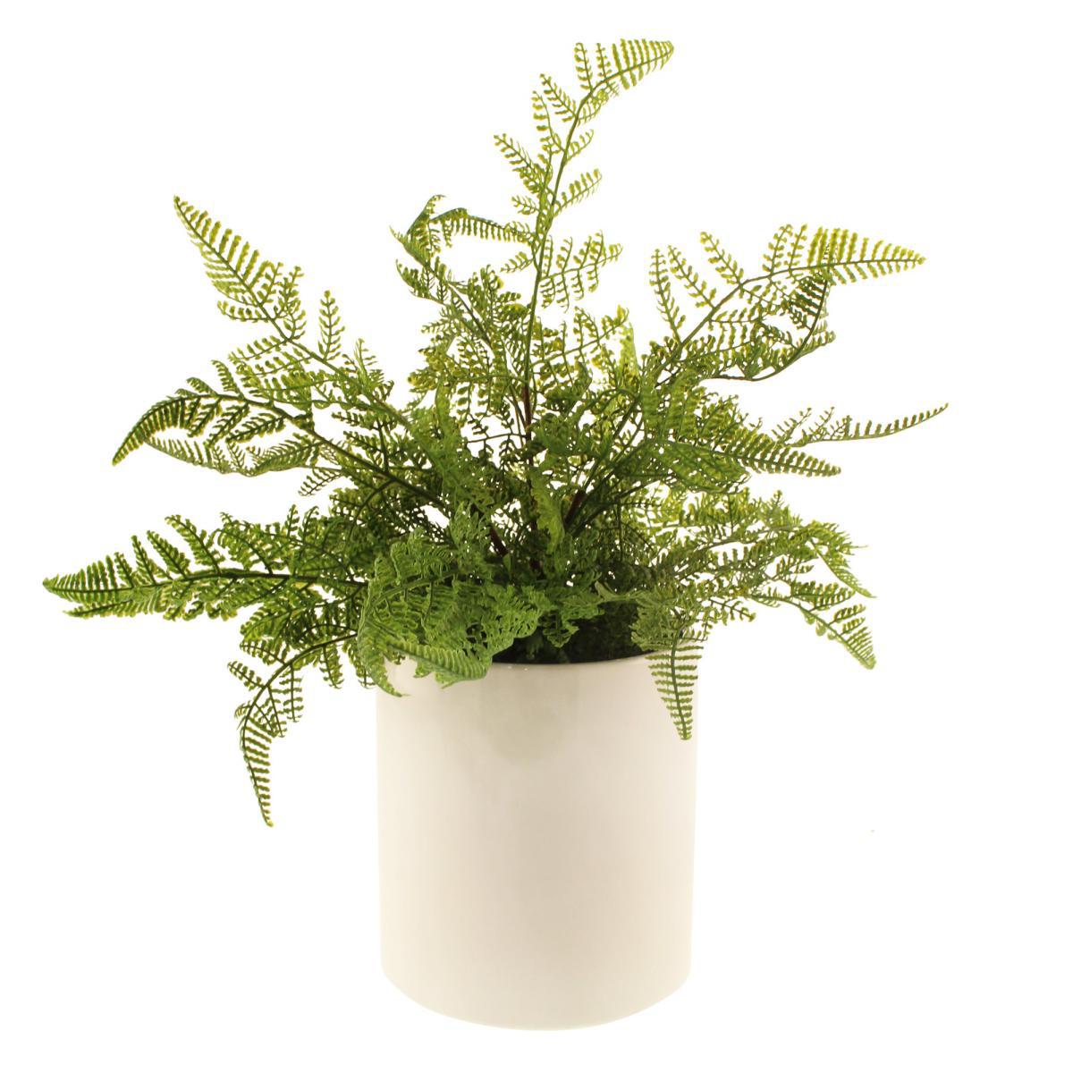 Fern in Ceramic Pot 45cm Green – image 4