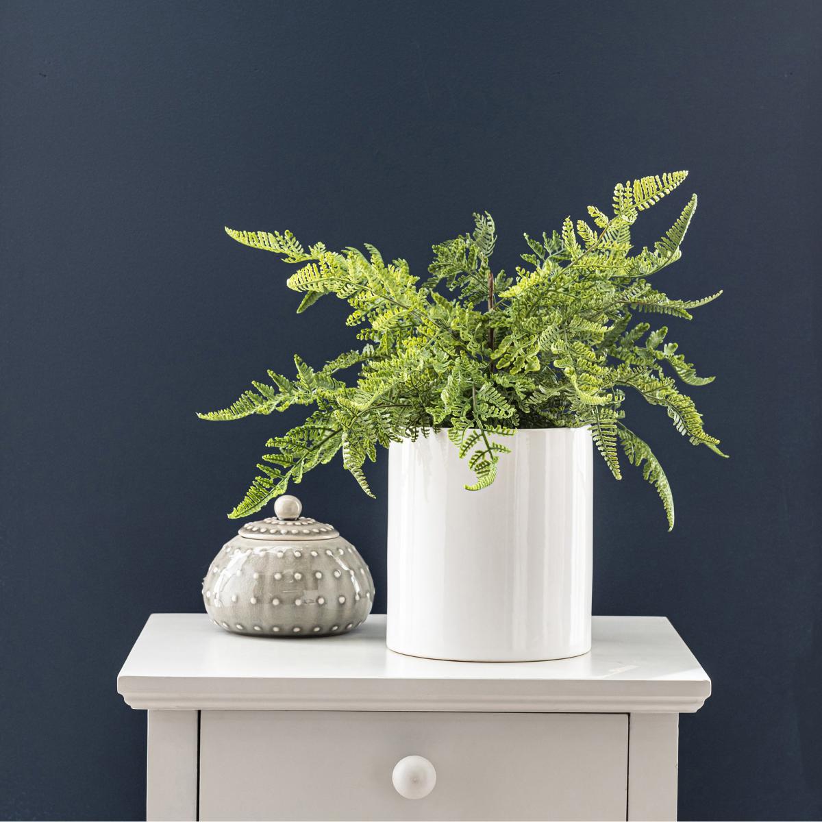 Fern in Ceramic Pot 45cm Green – image 1