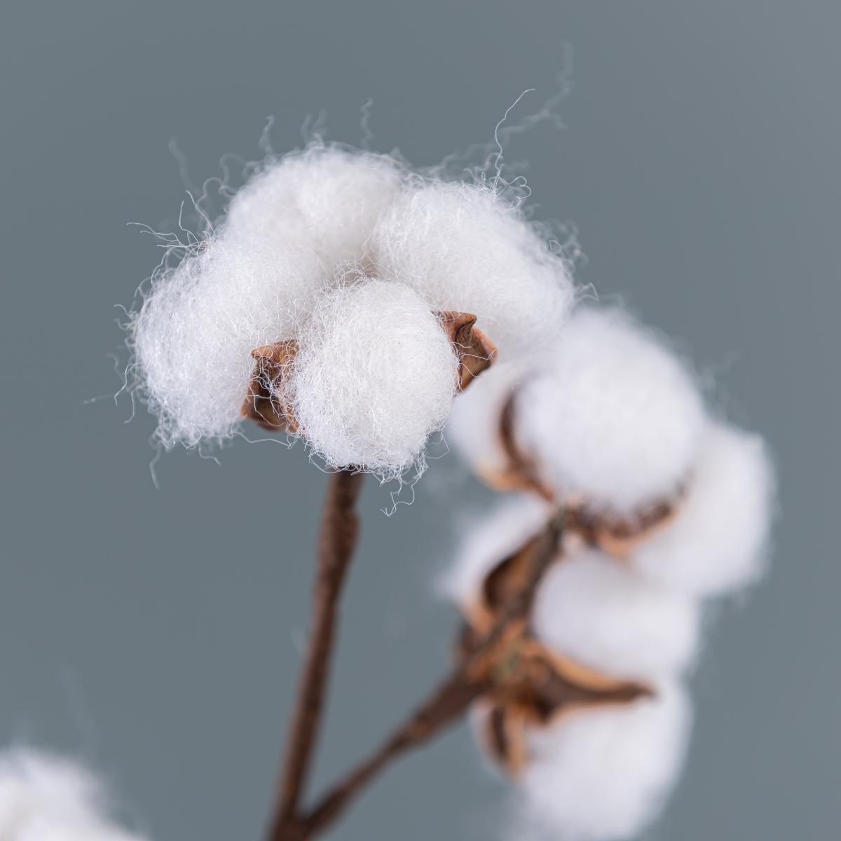 Set of 2 Artificial Cotton Ball Stems Natural – image 5