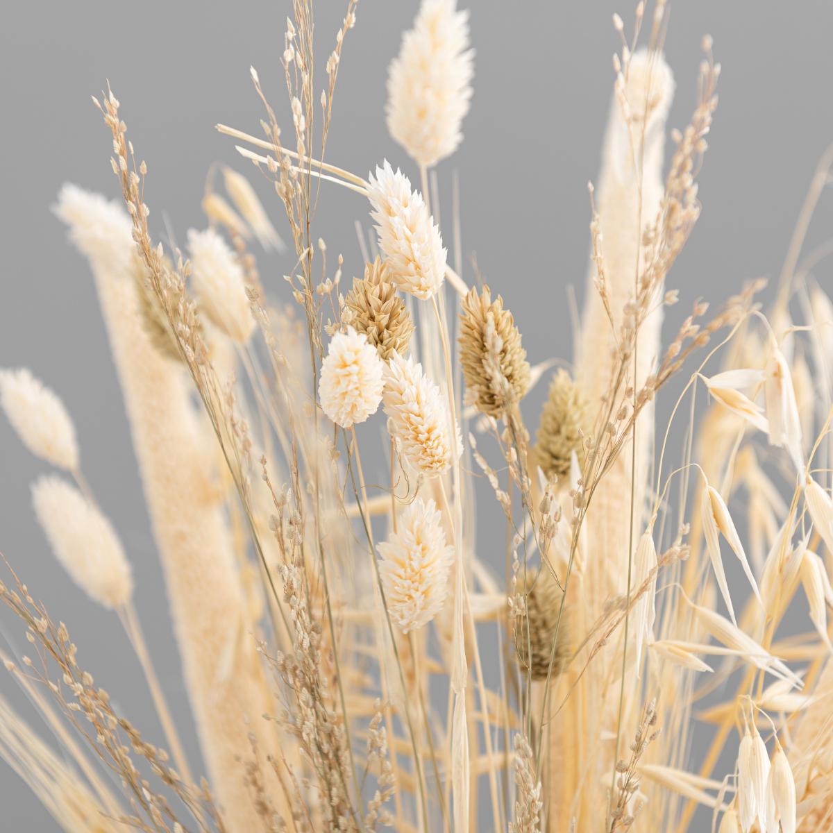 Natural and Bleached Mixed Dried Bouquet Ivory – image 3