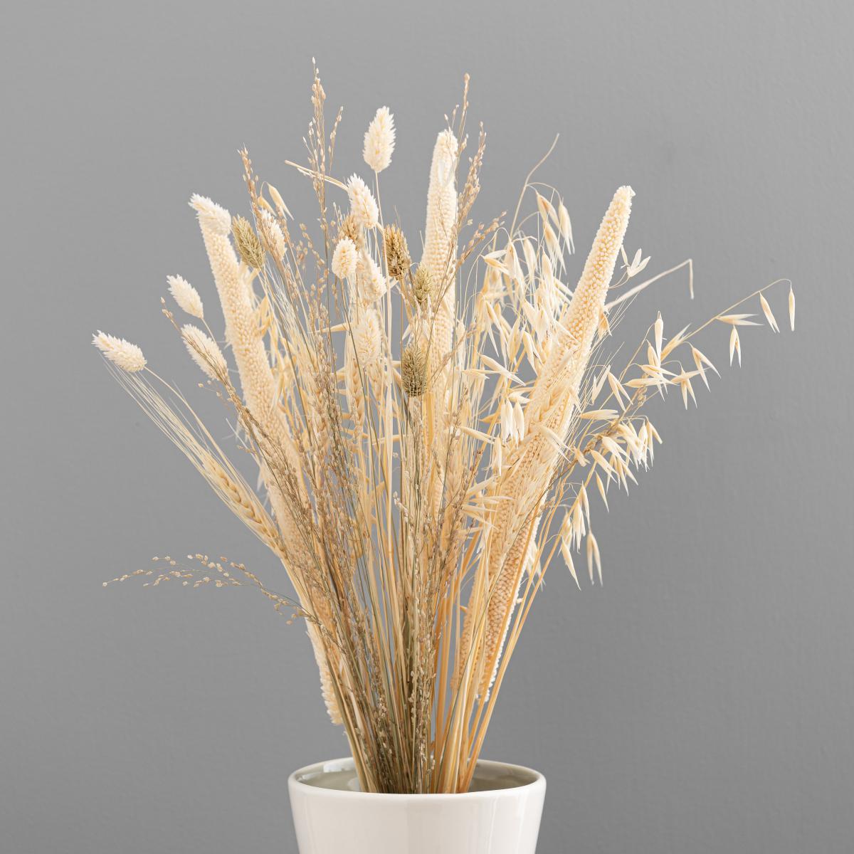 Natural and Bleached Mixed Dried Bouquet Ivory – image 4