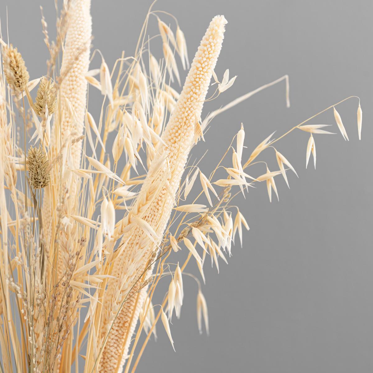Natural and Bleached Mixed Dried Bouquet Ivory – image 5