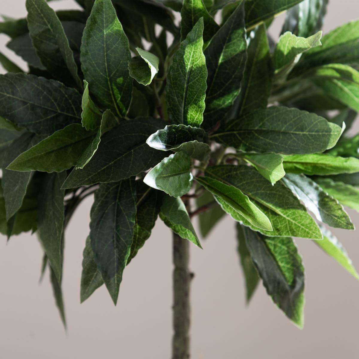 Tabletop Bay in Basket Pot Green – image 2
