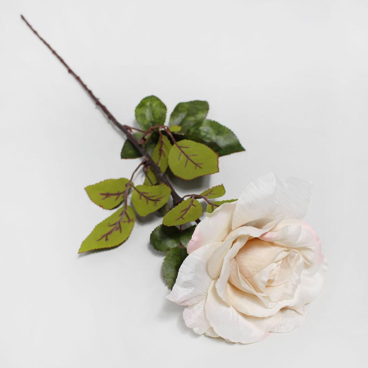 Pack of 12 Artificial Rose Cream Stem 80cm Cream – image 3
