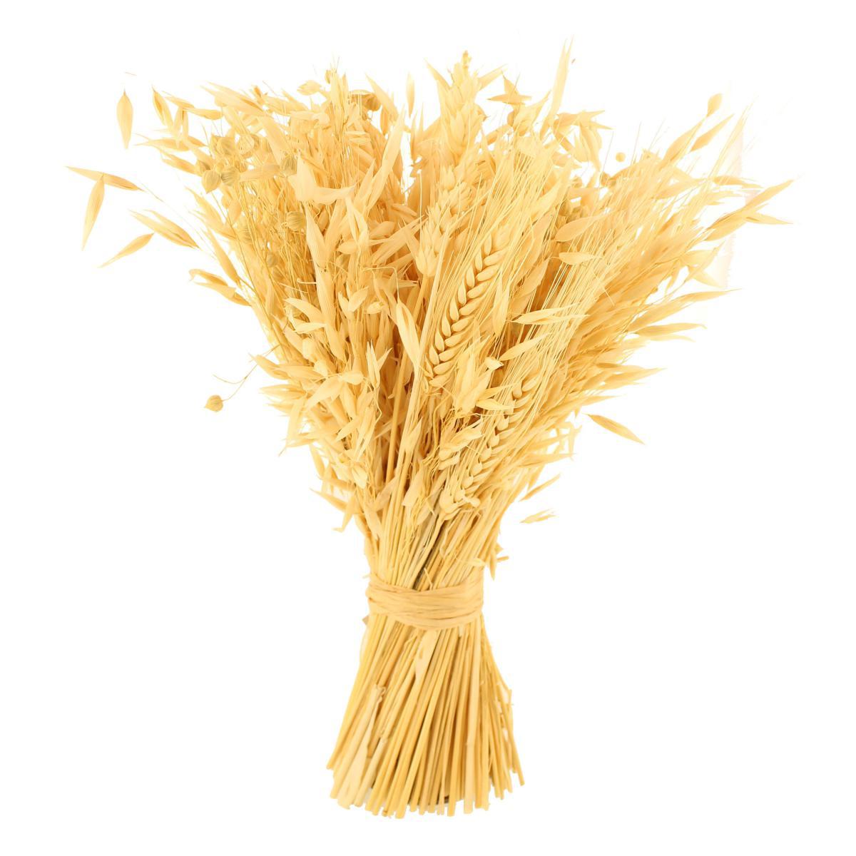 Pretty Boho Bleached Standing Dried Bundle Yellow – image 4