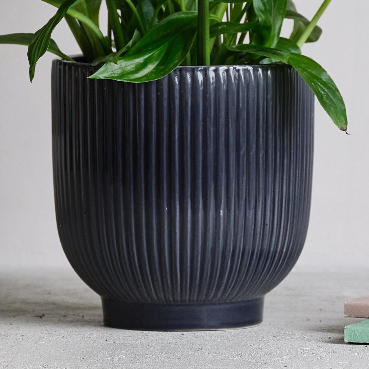 Peace Lily Potted House Plant and Plant Mister Bundle Ceramic Navy – image 3