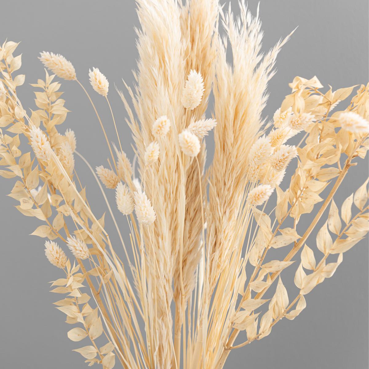 Bleach Dried Bouquet Ivory – image 3