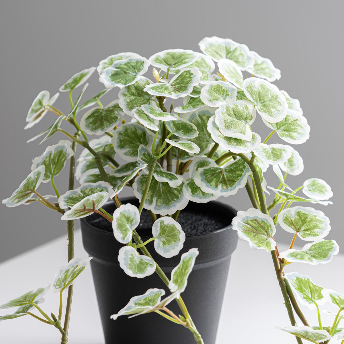 Artificial Trailing Geranium in Pot Green – image 2