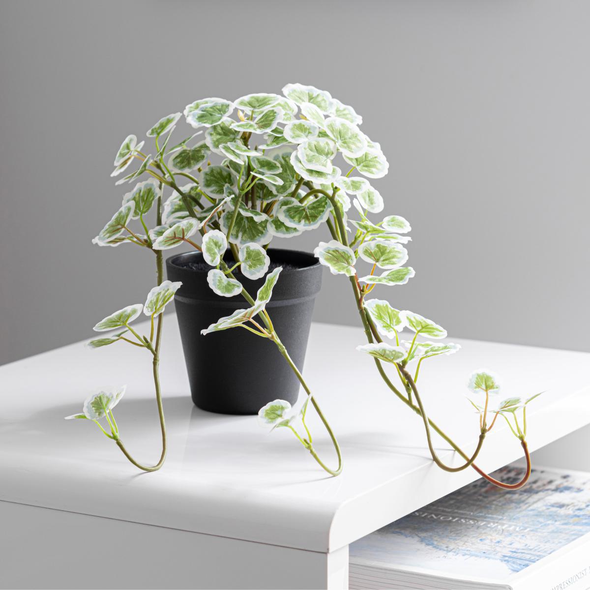 Artificial Trailing Geranium in Pot Green – image 3