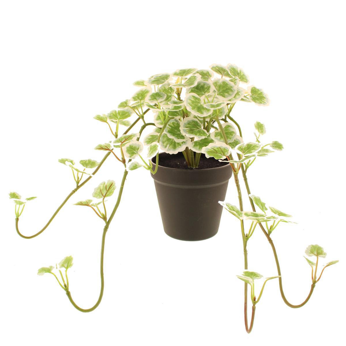 Artificial Trailing Geranium in Pot Green – image 4