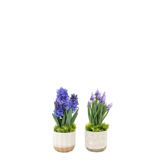 Cedar & Sage Set of 2 Artificial Purple Hyacinths in Ceramic Pots – image 4