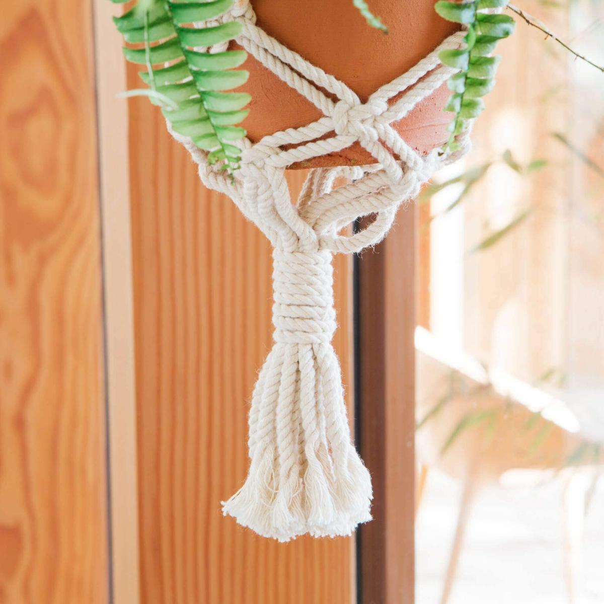 Macramé Terracotta Plant Pot – image 3