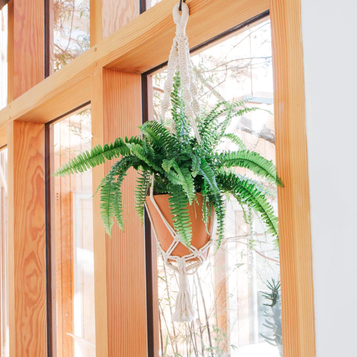 Macramé Terracotta Plant Pot – image 1