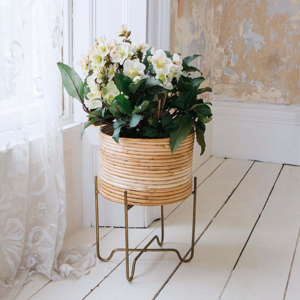 Cane Indoor Plant Stand – image 3