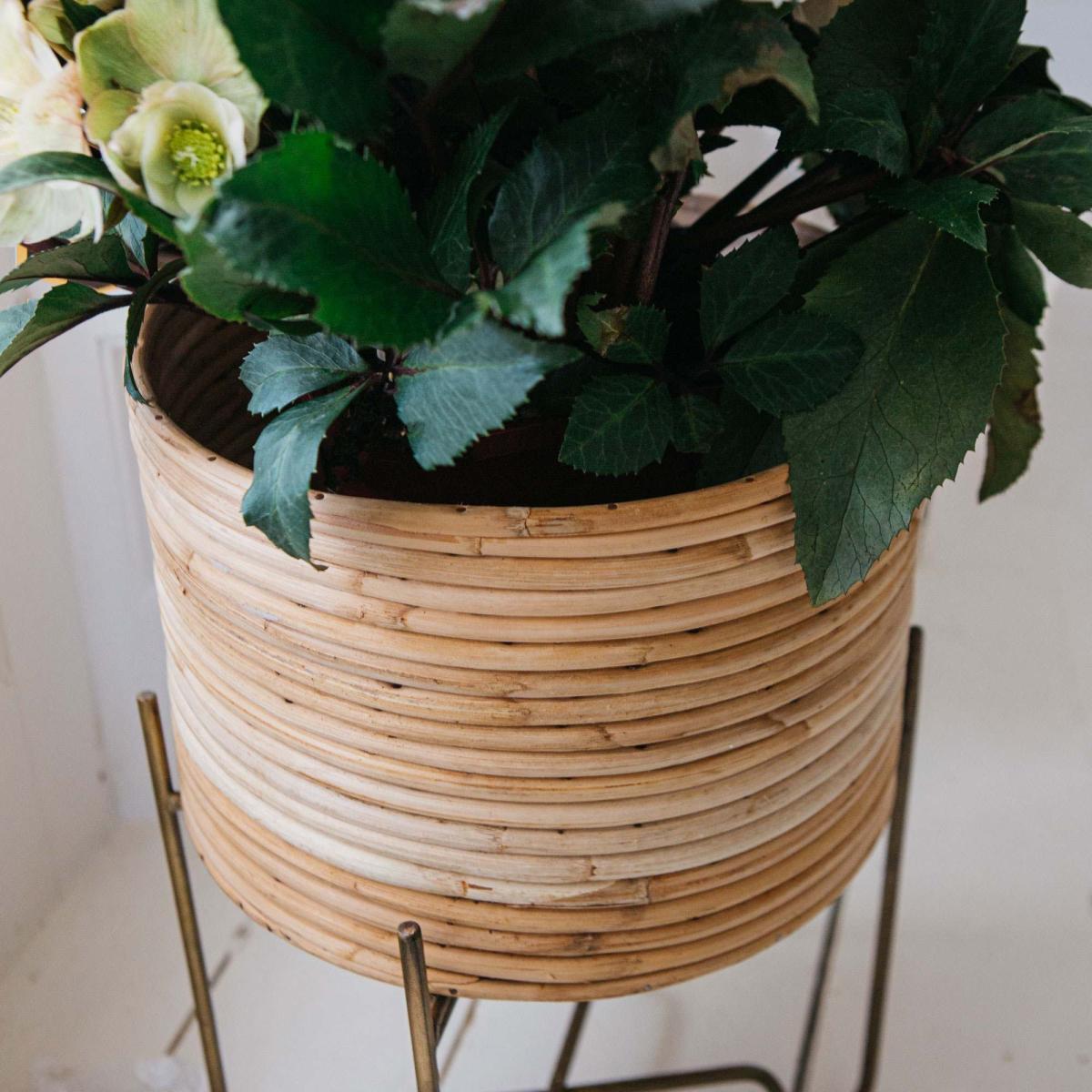 Cane Indoor Plant Stand – image 4