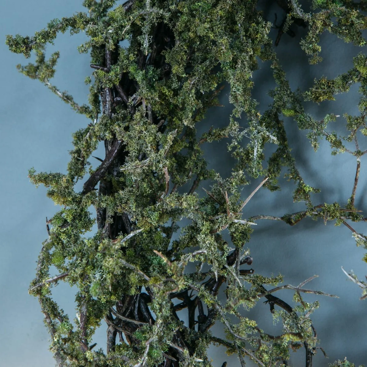 Twig and Moss Wreath – image 2