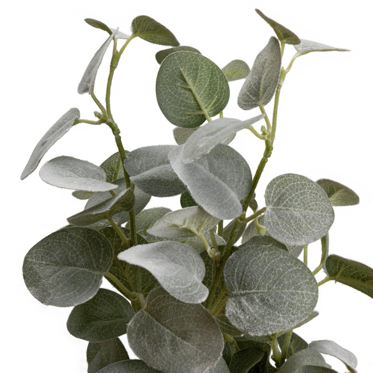 Habitat Single Stem of Eucalyptus - Pack of 3 – image 4