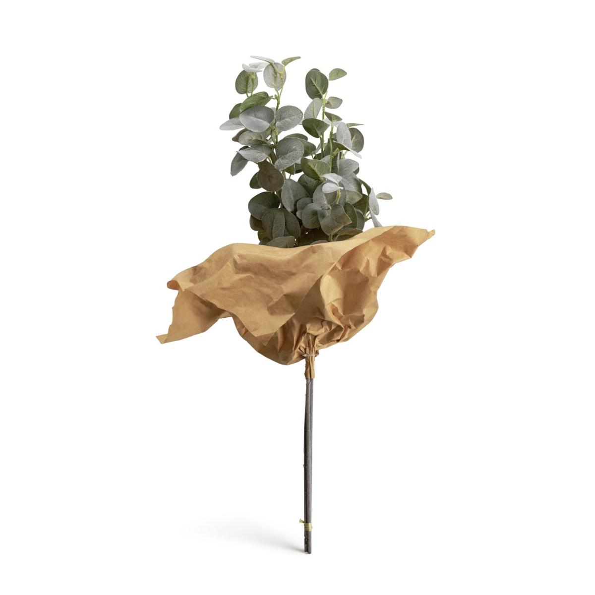 Habitat Single Stem of Eucalyptus - Pack of 3 – image 5