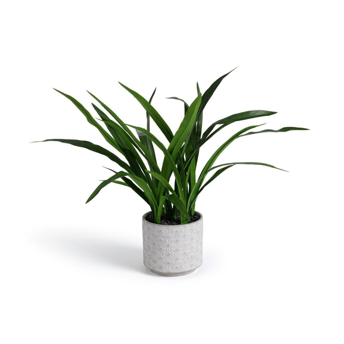 Habitat Large Artificial House Plant in Ceramic Pot – image 3