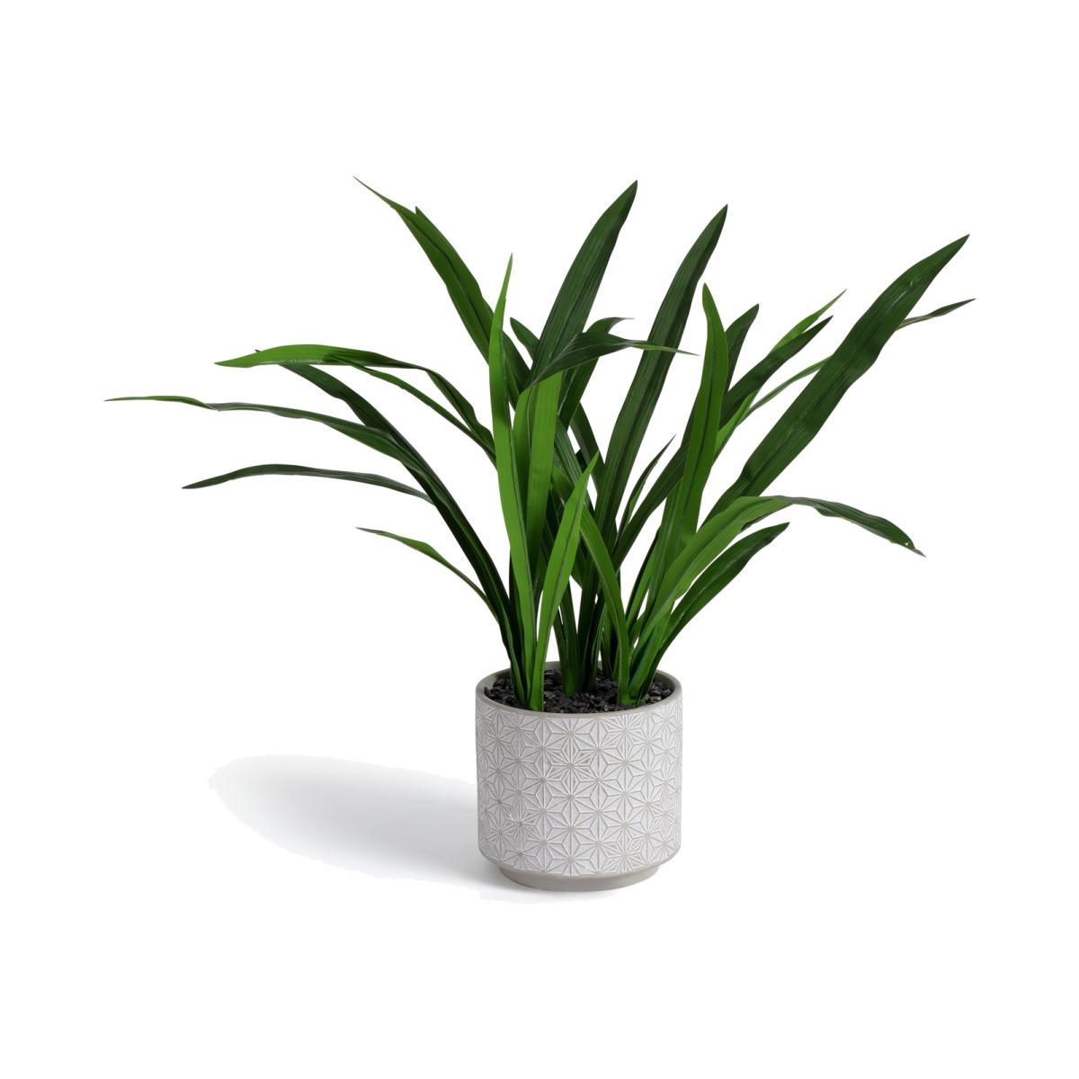 Habitat Large Artificial House Plant in Ceramic Pot – image 1