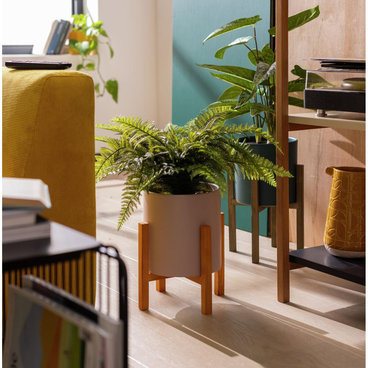 Habitat Large Fern in Pot on Stand - Pink – image 2