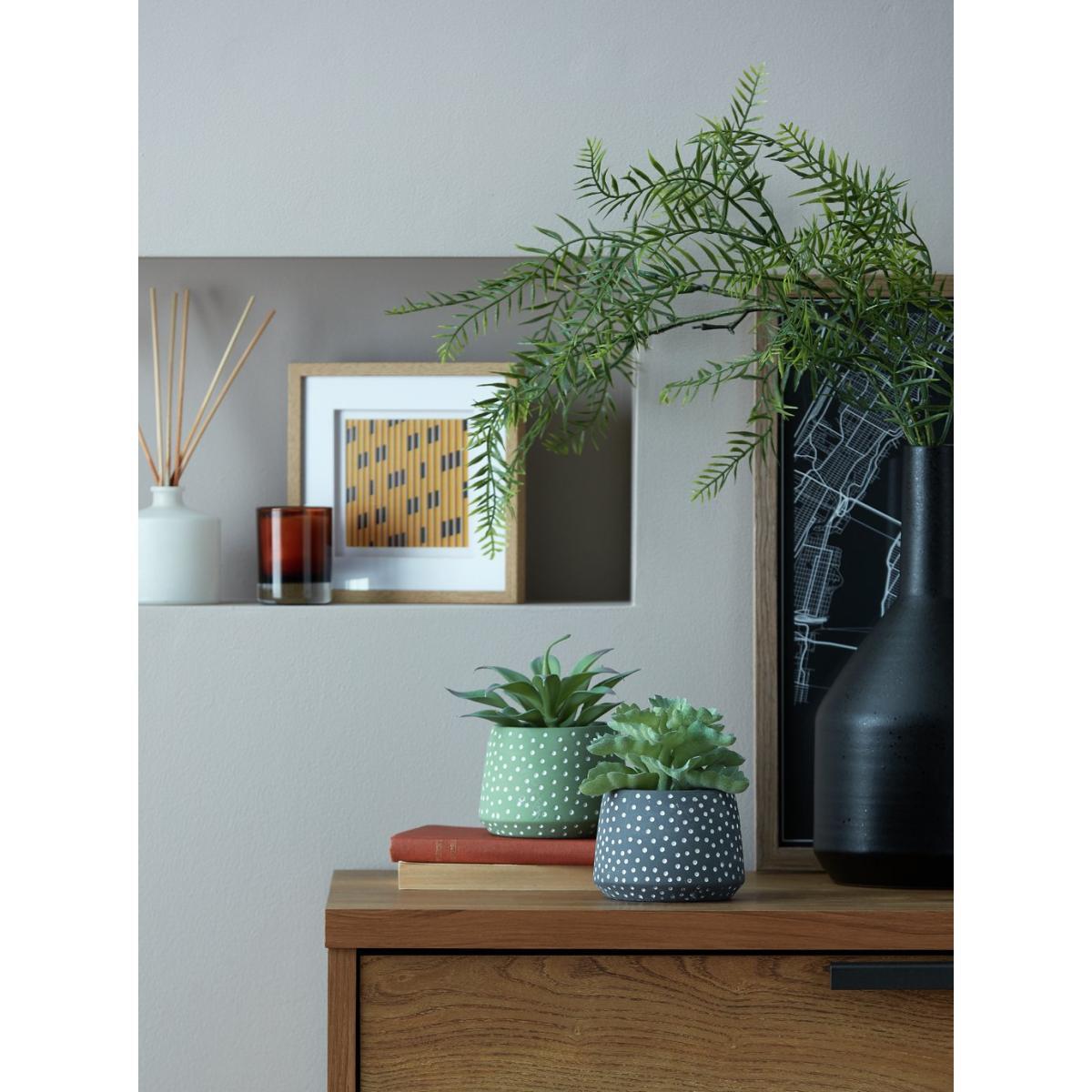 Habitat Succulents with Dotted Pot - Green – image 2