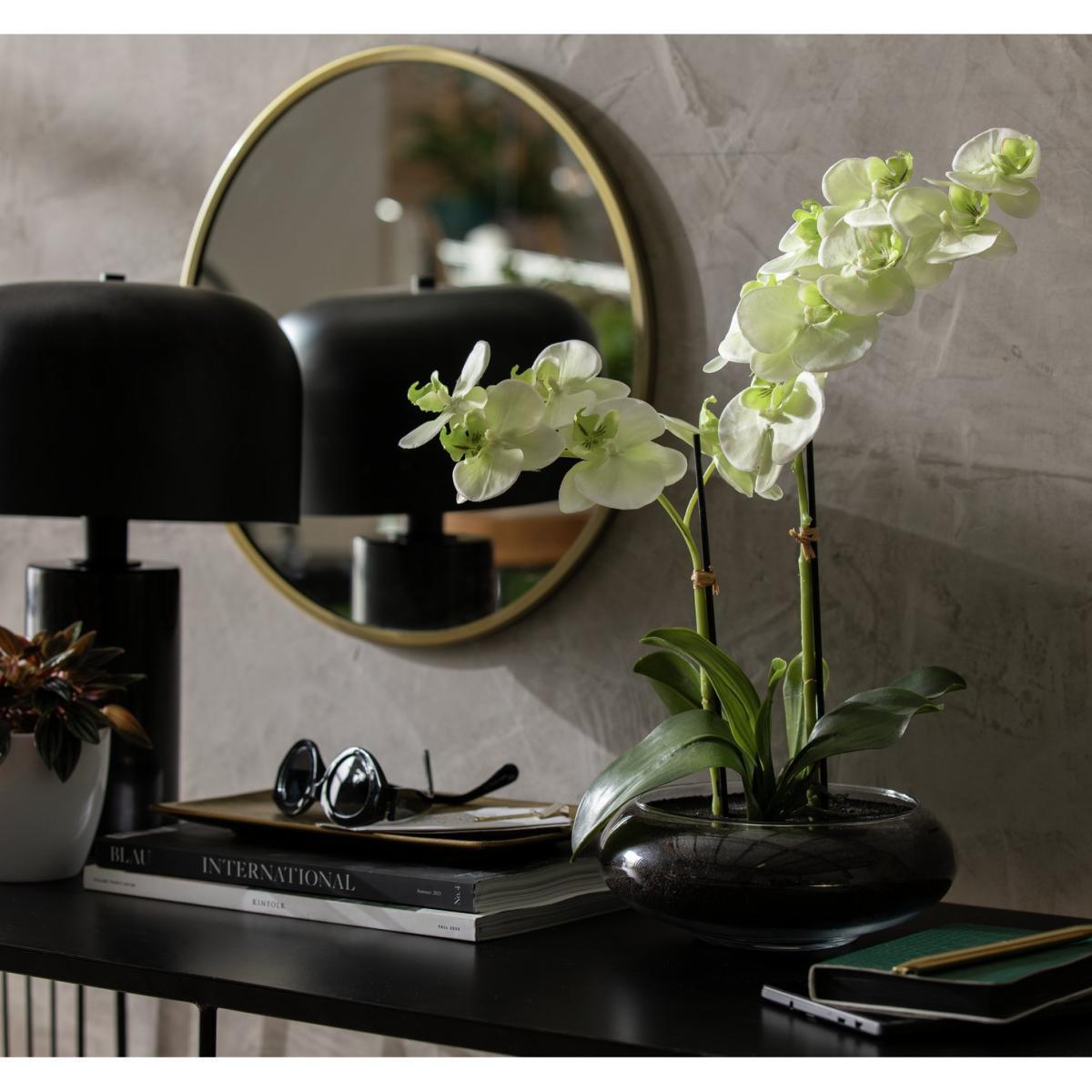 Habitat Large Orchid in Glass Pot - White – image 2