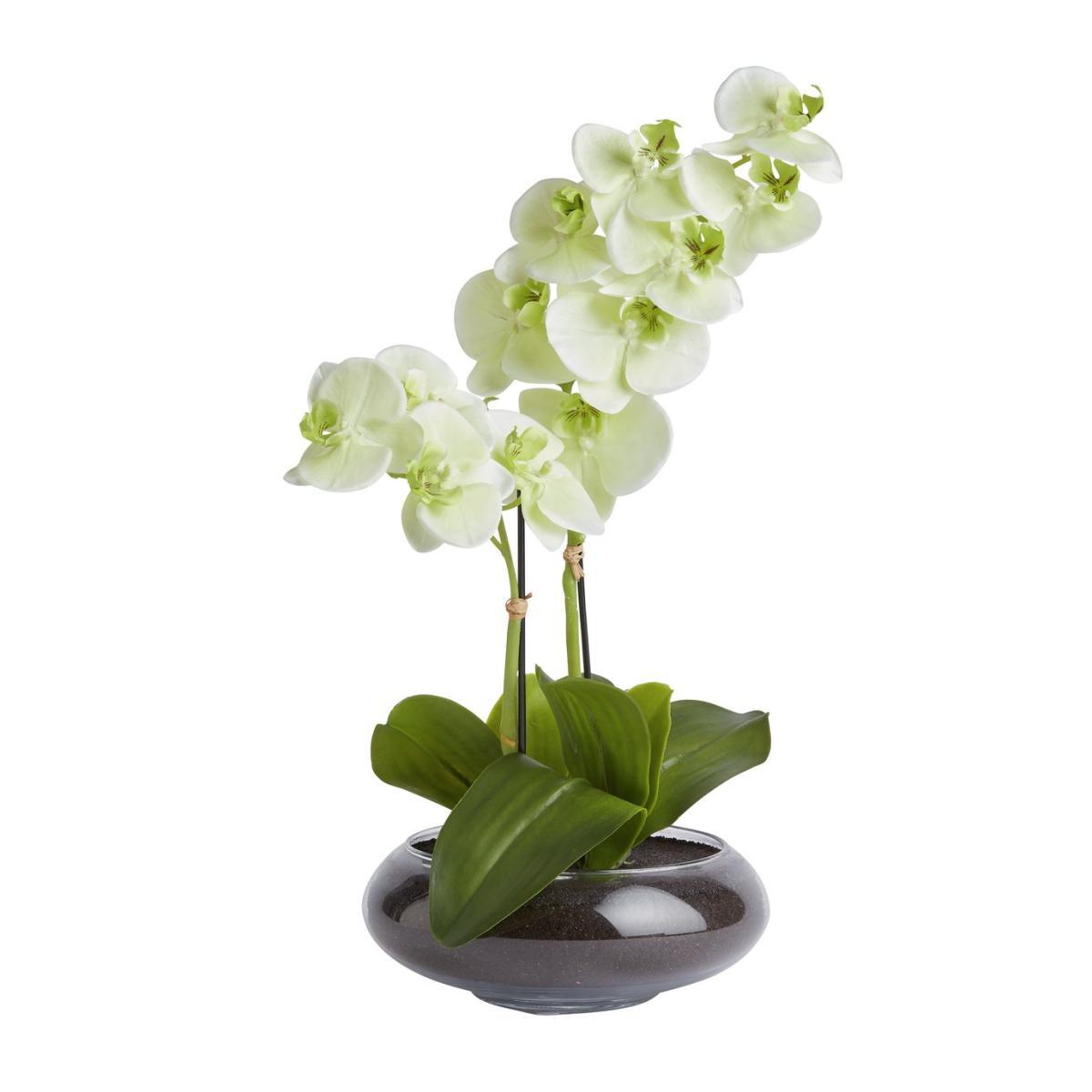 Habitat Large Orchid in Glass Pot - White – image 3