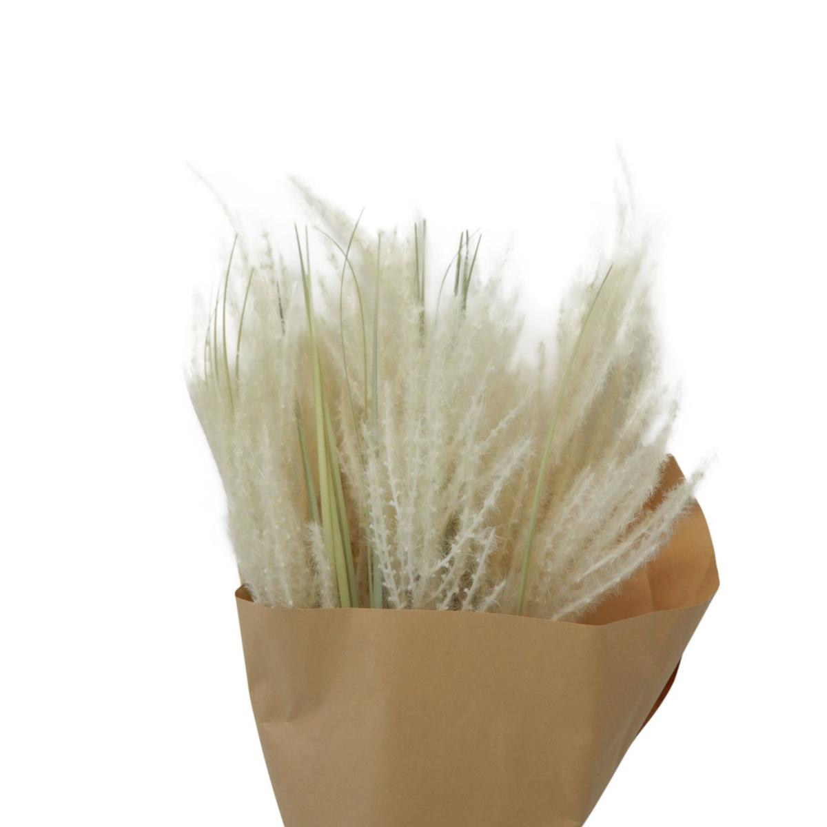 Habitat Dried Pampas Grass Bouquet – image 3