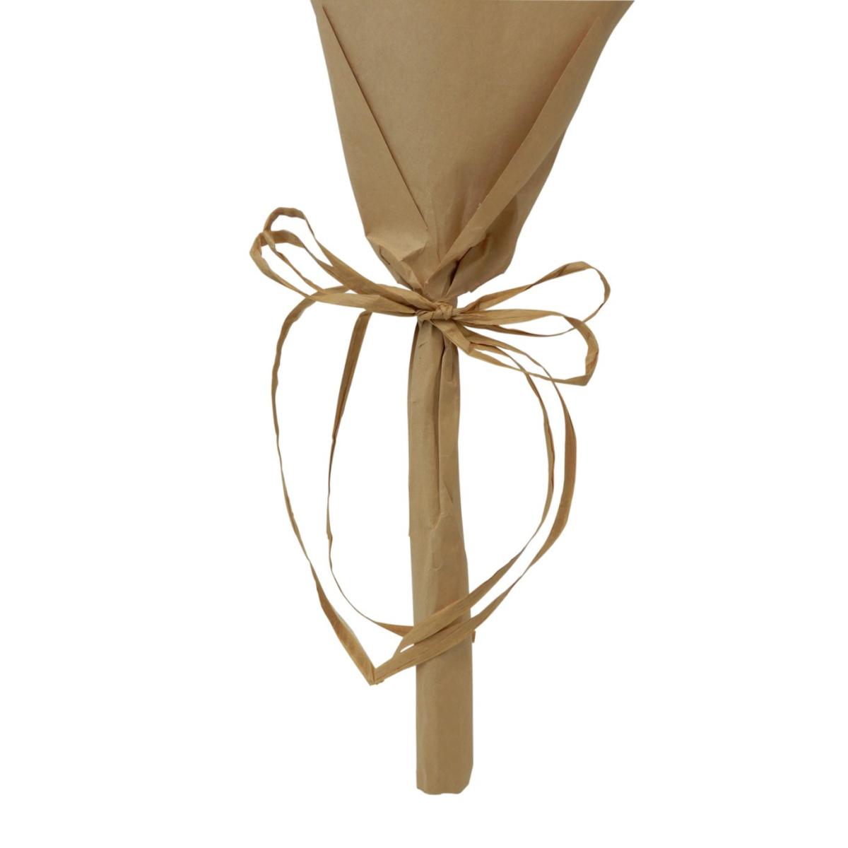 Habitat Dried Pampas Grass Bouquet – image 4