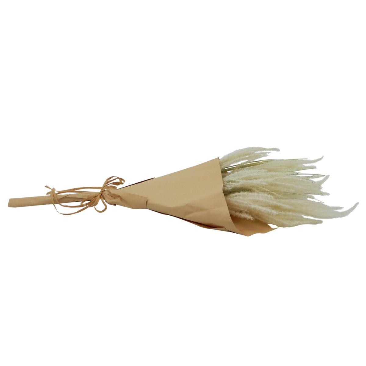 Habitat Dried Pampas Grass Bouquet – image 5