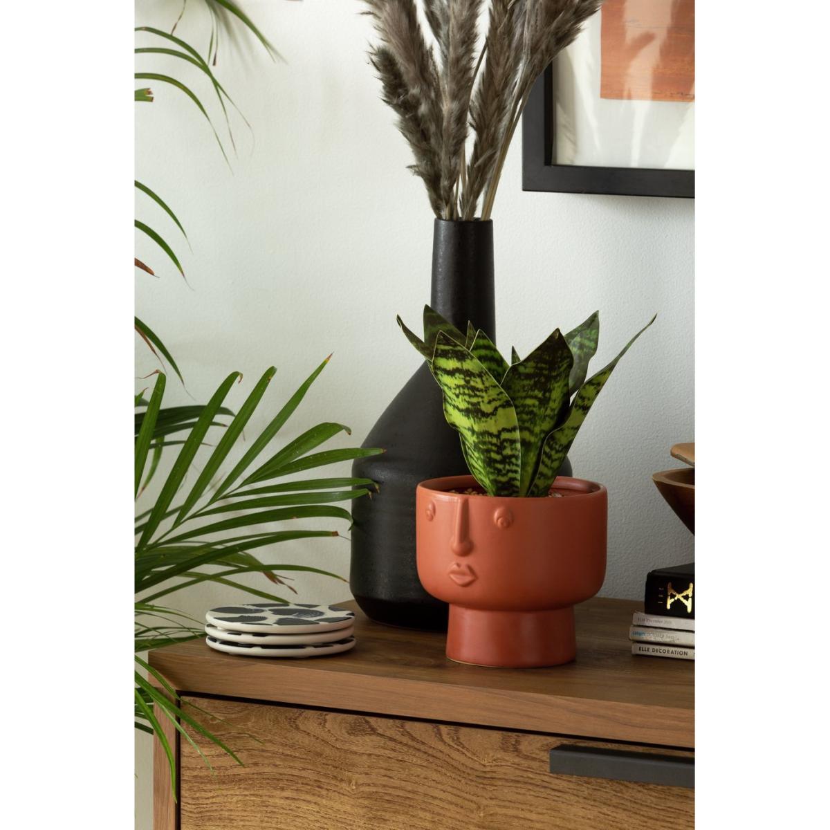Habitat Faux Floral in Face Shaped Pot - Terracotta – image 2