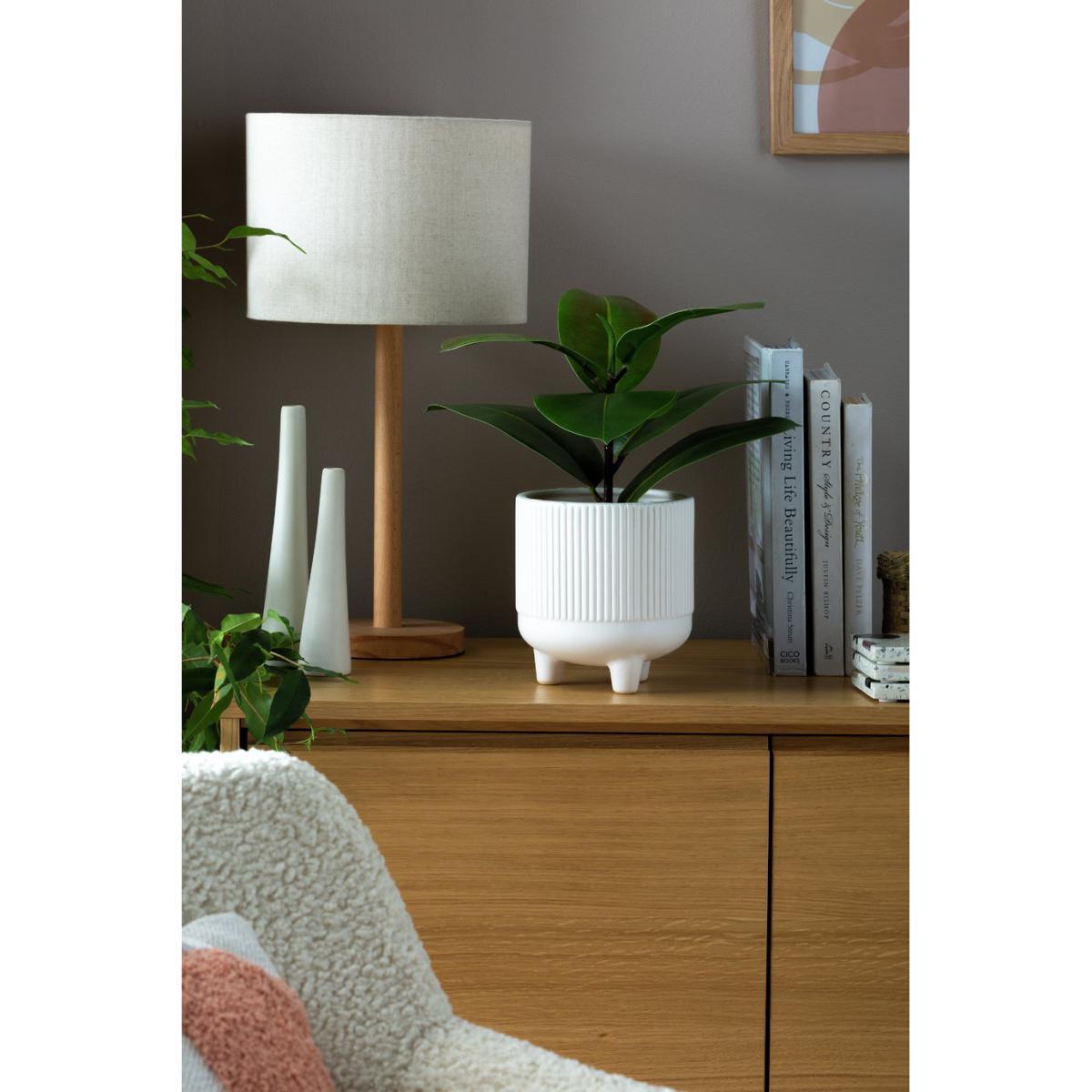 Habitat Fiddle Leaf in Ceramic Pot - White – image 2