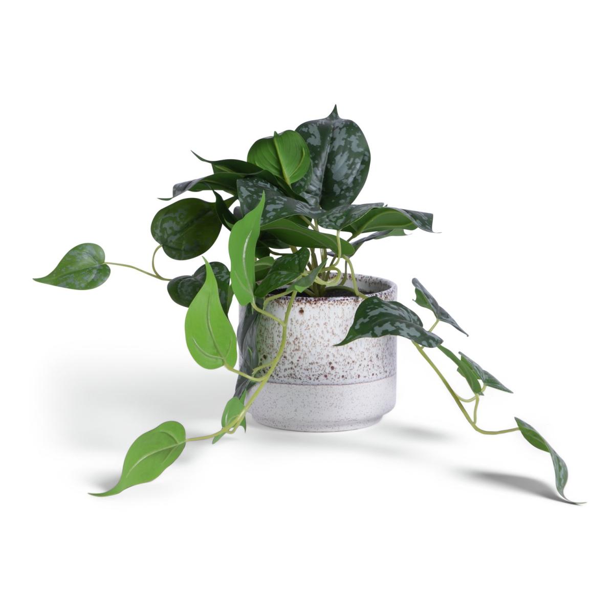 Habitat Artificial Faux Satin Pothos Plant - Green – image 3