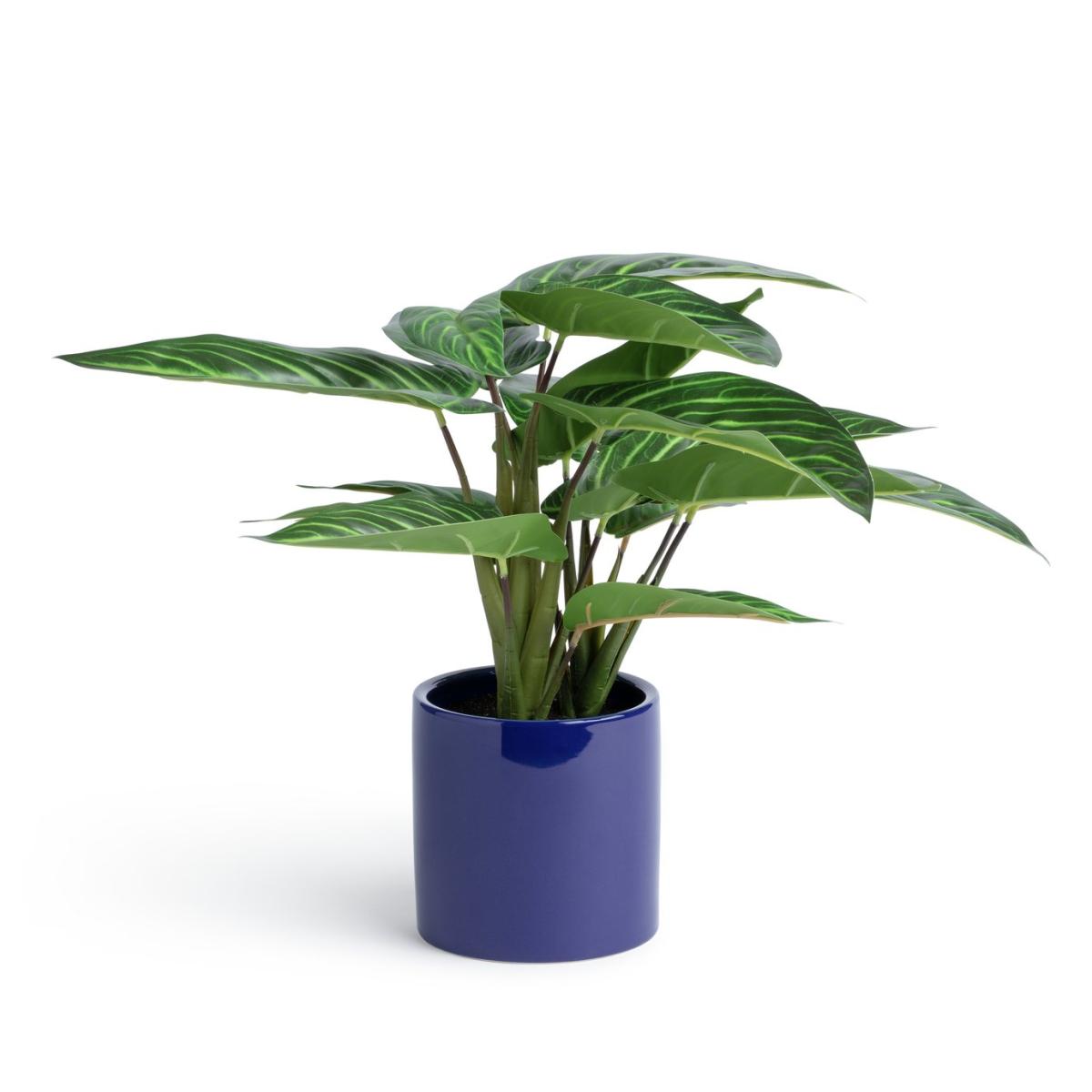 Habitat Faux Plant in Ceramic Pot - Blue – image 3
