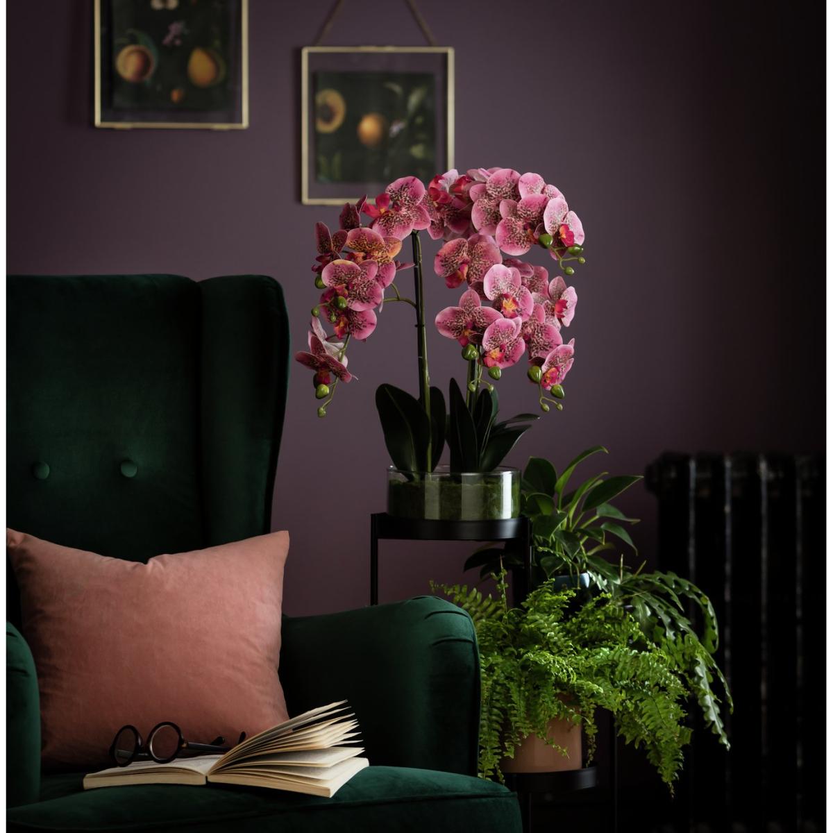 Habitat Pink Orchid in Round Glass – image 2