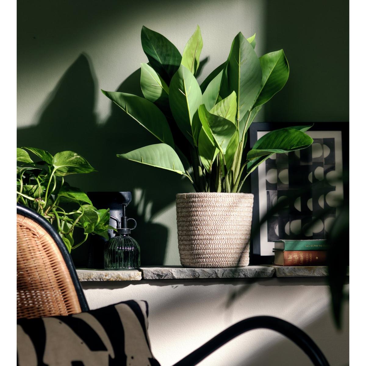 Habitat Large Faux in Basket - Natural – image 2