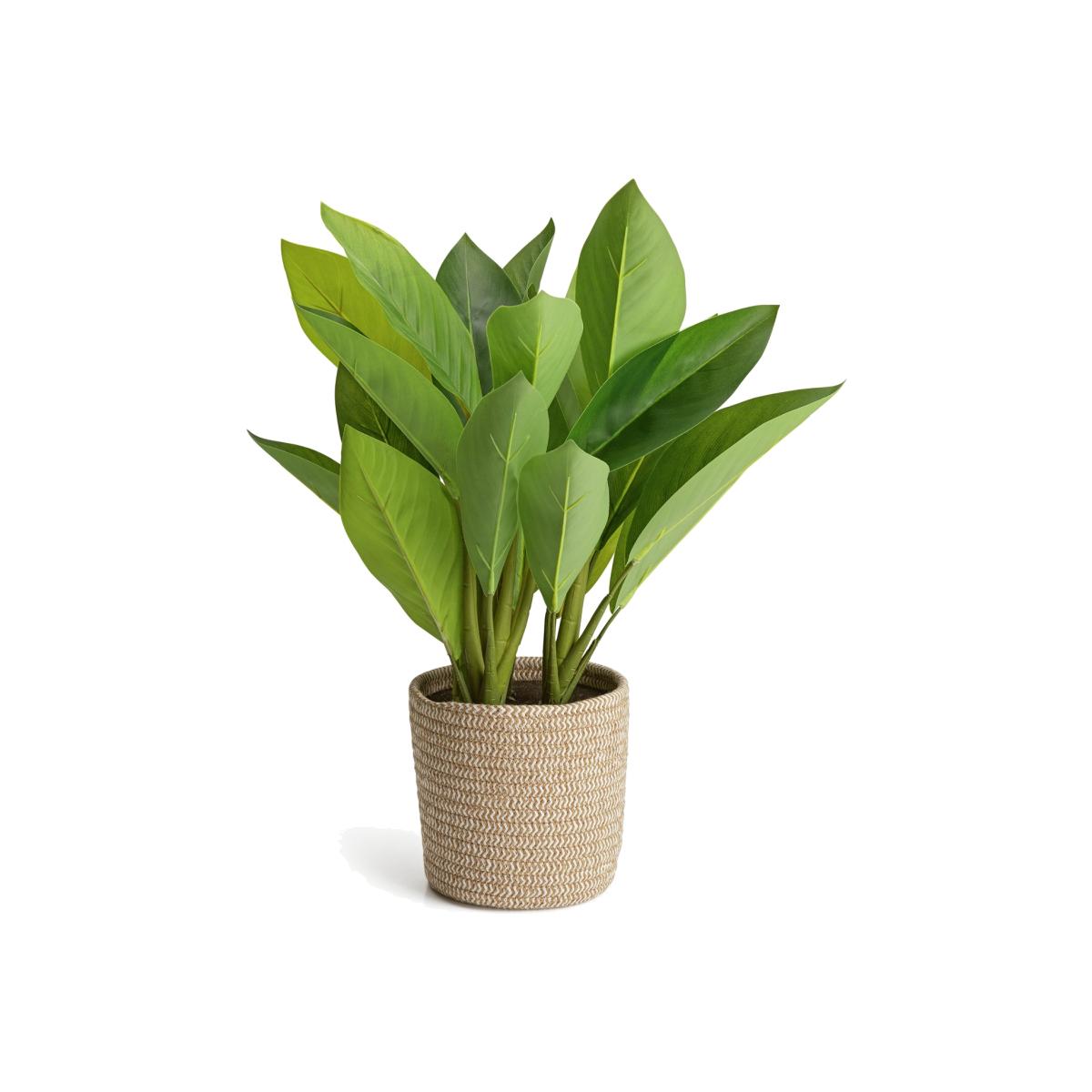 Habitat Large Faux in Basket - Natural – image 1