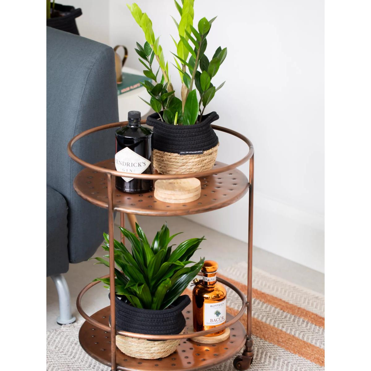 The Little Botanical Easy Care Plant Basket – image 3