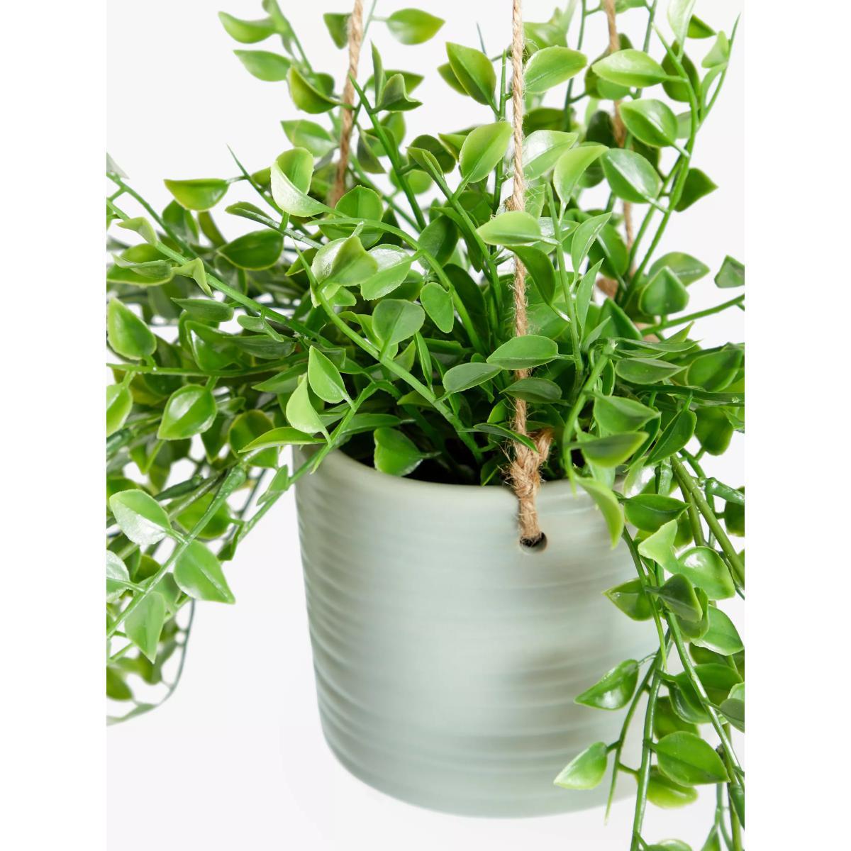 John Lewis & Partners Artificial Hanging Boxwood – image 2