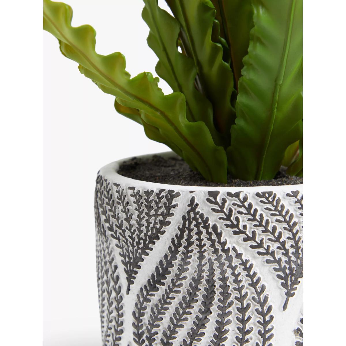 John Lewis & Partners Artificial Broad Grass in Patterned Pot – image 2