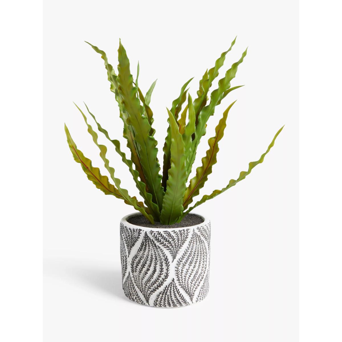 John Lewis & Partners Artificial Broad Grass in Patterned Pot – image 3