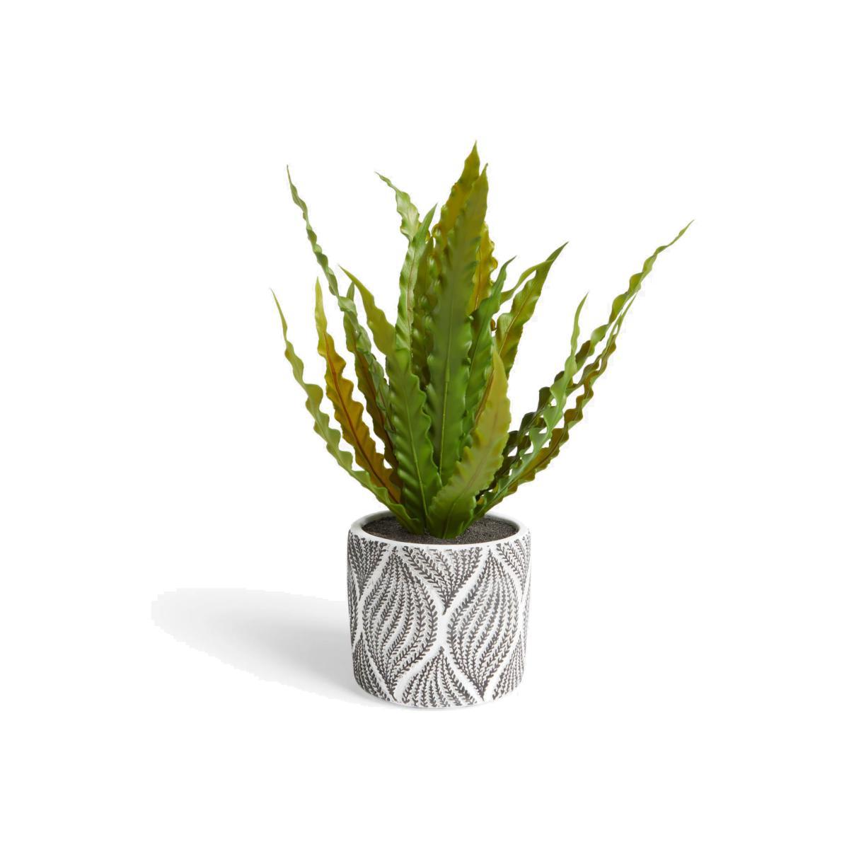 John Lewis & Partners Artificial Broad Grass in Patterned Pot – image 1